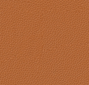 皮纹